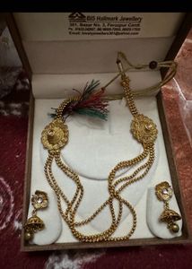Exquisite Gold-Toned Layered Necklace &amp; Earring Se