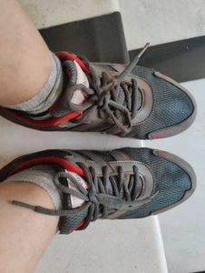 Lakhani Armaan Sports Shoes