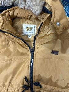Campus Sutra Mustard Padded Jacket