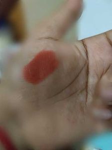 Lipstick - Terracotta Shade