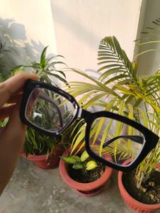 Stylish Black Frame Eyeglasses