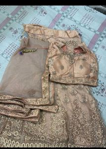 elegant lehnga choli