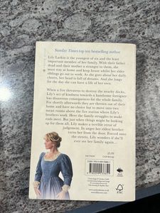 Dilly Court 2 Books Set