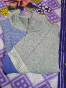 Max Turtle Neck sweater