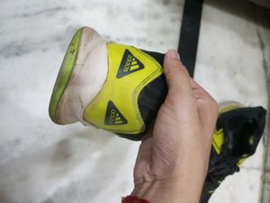 Adidas Sports Shoes