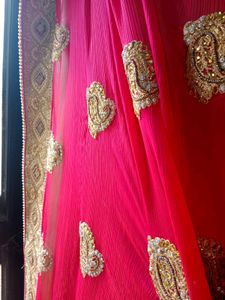 Pleated Heavily Work Saree