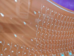 Beautiful Design Light Rust Color Saree