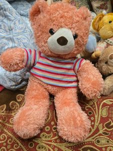 Cute Teddy Bear