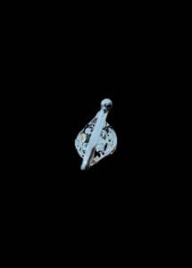 Elegant Oxidised Clip On Nosepin