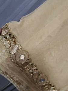 Beige Embroidered net Dupatta
