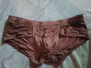 Men's Brown Briefs