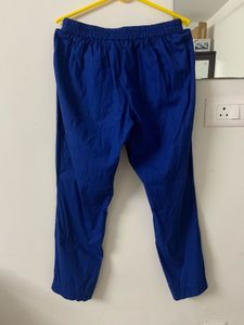 ATEESA Vibrant Blue Palazzo Pants