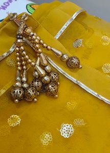 Elegant Ethnic Gown