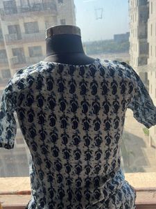Elegant Blue Paisley Print Kurta