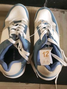 Primark Blue &amp; White Sneakers