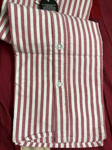 new Striped full  Casual Shirt pure cotton