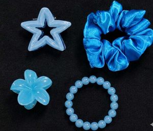 Cute Blue Hair Accessories Set
