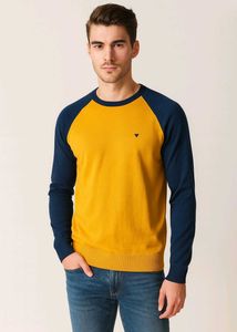 Red Tape Men's Contrast Sleeve pullover
