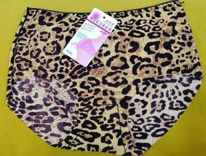 2020 -- seamless printed panty