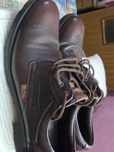 Lee Cooper Brown Leather Shoes Size UK10