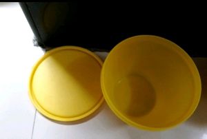 Set Of 2 Containers