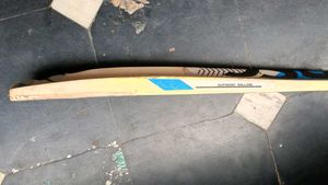 DSC English Willow Cricket Bat