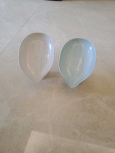 soap leaf stand with succum power