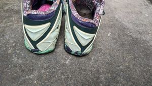 Nike Lebron Sneakers