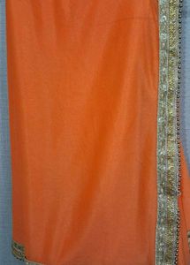 Sparkling Orange Saree with Golden Border ✨