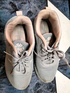 Campus Grey Sneakers