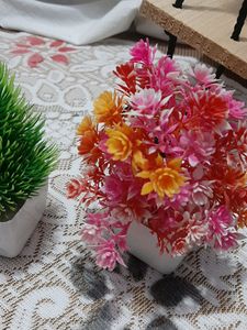 Artificial Plant Combo Pack Of 3
