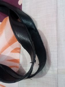 Satya Paul Bag