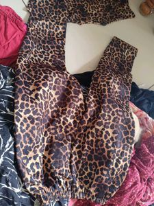 Leopard Print Short Sleeves top and full pant