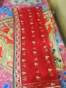 Embroidered Lehenga choli