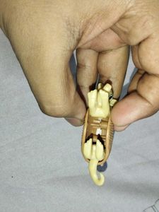 Armordillo Action Figure from kinder Joy, offer me