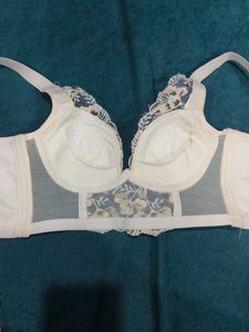 Elegant Embroidered Lace Bra