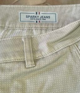 Light grey Striped Pants
