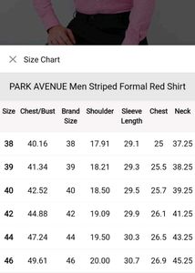 Park Avenue Men's Striped Formal Shirt