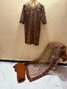 Beautiful organza  party wear dress
