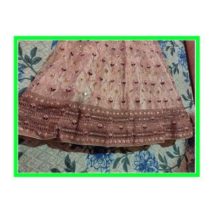 Elegant  Lehenga Choli Set✨