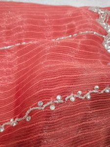 Stunning Coral Saree with Silver Embellishments
