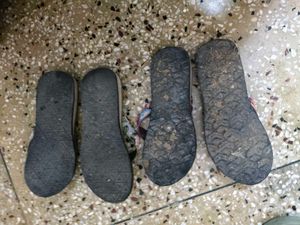 Two Soft Flip Flops Bundle In 5:5 Size For Women