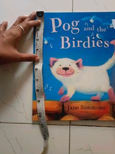 Pog and the Birdies Book