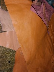 Trendy Colour Genuine Leather