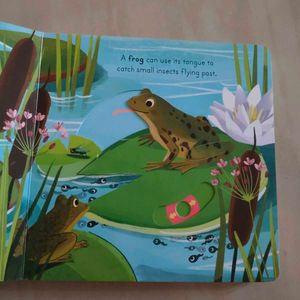 Big Outdoors for Little Explorers: River