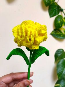 Crochet carnation Flower
