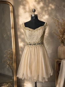 Sparkling Gold Lace Party Dress