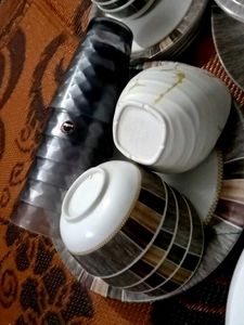 Elegant Dinnerware  pics wala camplet se