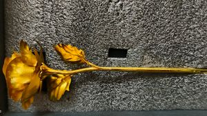 Golden Rose
