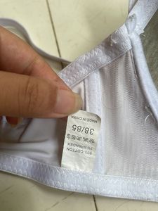New Strapless Padded Bra